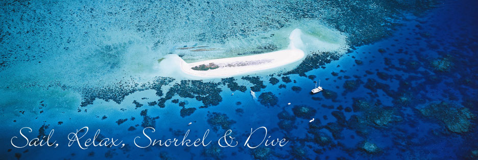 Great Barrier Reef diving and snorkelling Trips