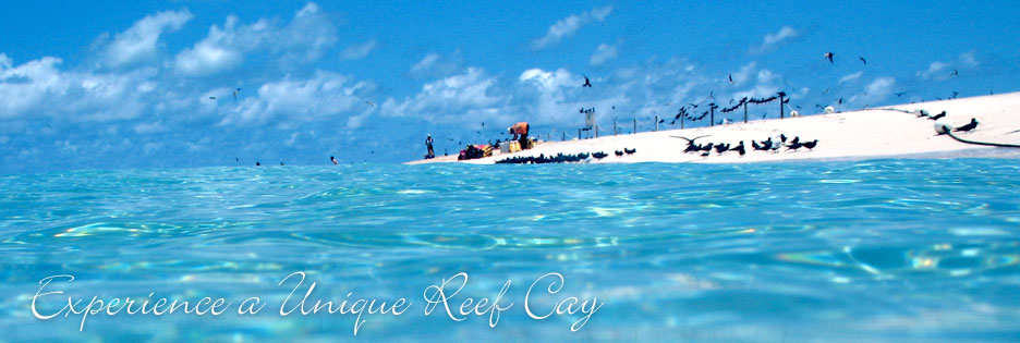 Cairns reef trips