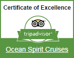 Ocean Spirit Certificate of Excellence