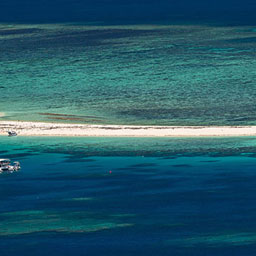 Michaelmas Cay, Great Barrier Reef Tour