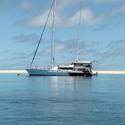 Michaelmas Cay, Great Barrier Reef Tour